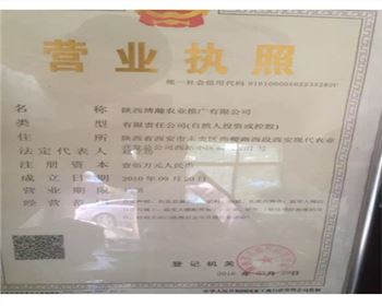 企业证照
