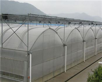 连栋温室大棚